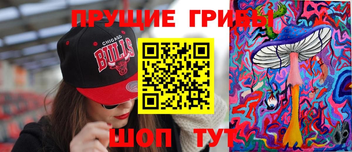 Псилоцибиновые грибы Psilocybine cubensis Острогожск